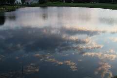 24: DonManfria_2025-179