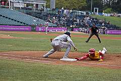 224: ErnieStandard_2025-7