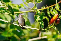 37: MarkShelly_2025-165