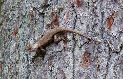 57: MarkShelly_2025-166