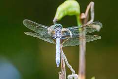 18: MarkShelly_2025-167