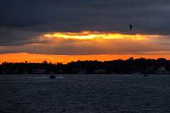 221: MarkShelly_2025-175