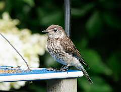 148: MarkShelly_2025-176