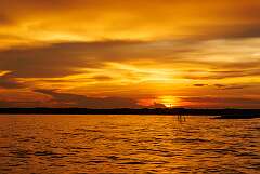 205: MarkShelly_2025-180