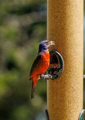 211: MarkShelly_2025-181