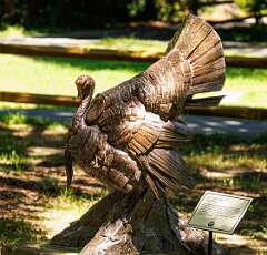 69: MarkShelly_2025-182