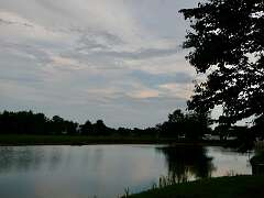 55: MikeGlass_2025-11