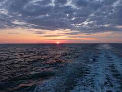 92: MikeGlass_2025-14