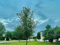 35: jenCurcione_2025-18