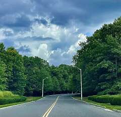 54: jenCurcione_2025-20