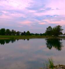 12: jenCurcione_2025-6