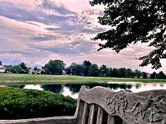 53: jenCurcione_2025-9