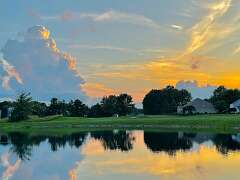 142: wendyTao_2025-15