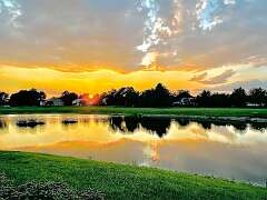 67: wendyTao_2025-17