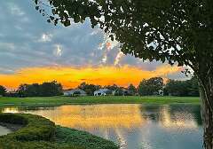 78: wendyTao_2025-19