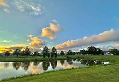 180: wendyTao_2025-20