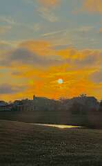 128: wendyTao_2025-22