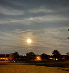 63: BerniceBailine_2025-25