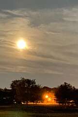 100: BerniceBailine_2025-26