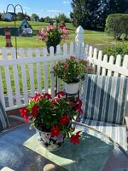 154: BerniceBailine_2025-27