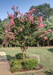 152: BillKirms_2025-180