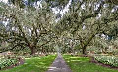 123: BillKirms_2025-191