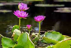 102: BillKirms_2025-193