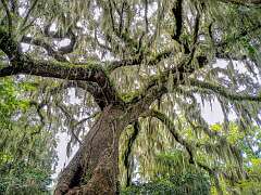 56: BillKirms_2025-194