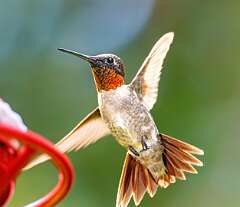 151: BillKirms_2025-200