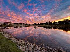 141: BillKirms_2025-201