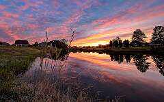 34: BillKirms_2025-202