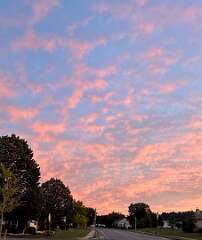 163: CarolAnnManfria_2025-7