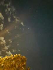 75: CeciliaRomano_2025-7