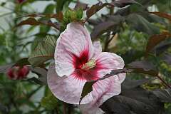 43: DonManfria_2025-189