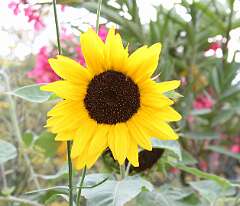 142: DonManfria_2025-191