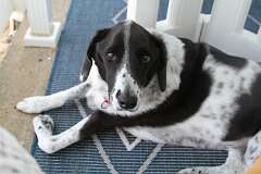 91: DonManfria_2025-208