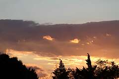 162: DonManfria_2025-217