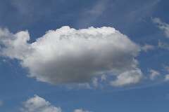 78: DonManfria_2025-220