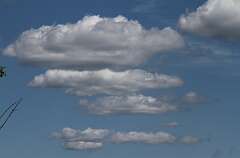 127: DonManfria_2025-221