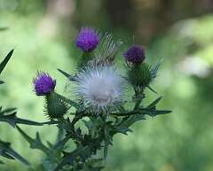 119: DonManfria_2025-223