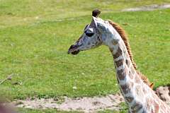 4: MarkShelly_2025-186