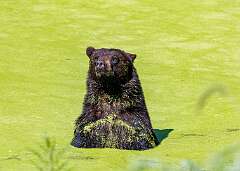 22: MarkShelly_2025-187