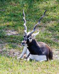 104: MarkShelly_2025-188