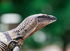 126: MarkShelly_2025-189