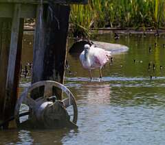 125: MarkShelly_2025-192