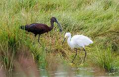 112: MarkShelly_2025-195