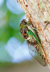 129: MarkShelly_2025-198