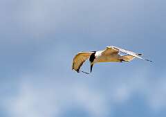 61: MarkShelly_2025-199