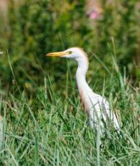 144: MarkShelly_2025-205