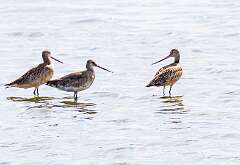 84: MarkShelly_2025-206